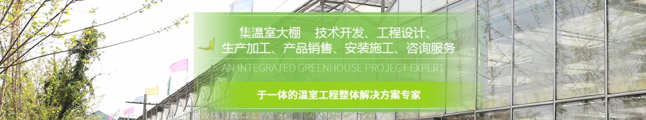 四川觀光溫室大棚