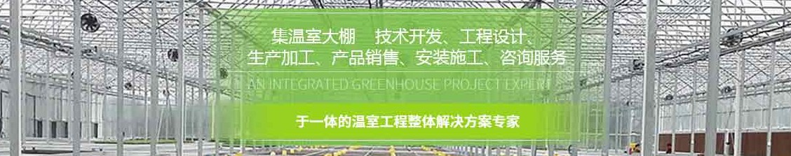 四川觀光溫室大棚
